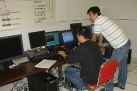 2009年度塔管局信息化系統(tǒng)運(yùn)行維護(hù)保障工作成效顯著