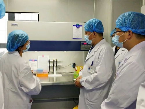 我市四家核酸檢測(cè)實(shí)驗(yàn)室全部建成投用，日最高檢測(cè)能力近五千人份
